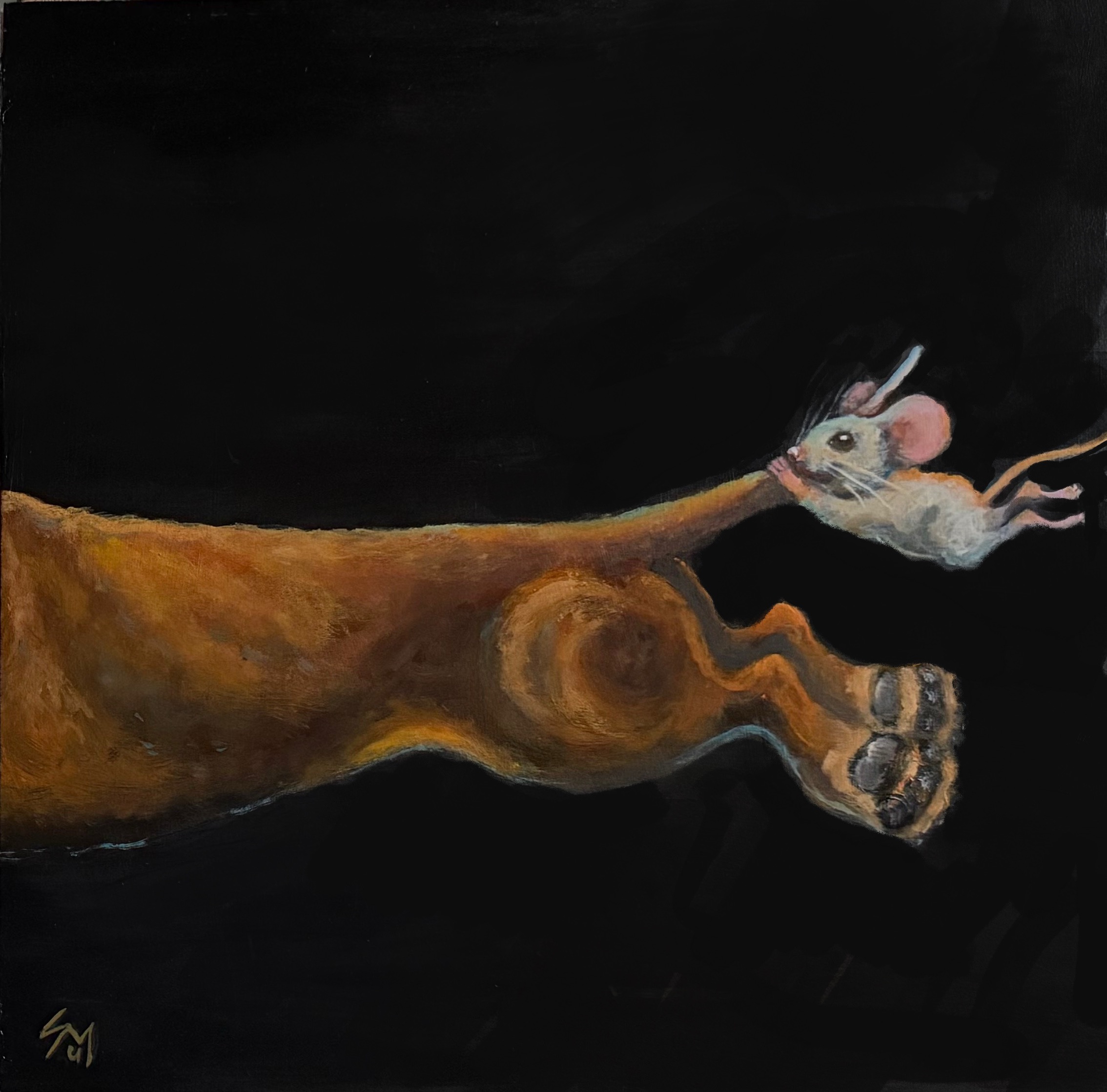 Right panel: a mouse clings to the tip of Poppy’s tail as she runs